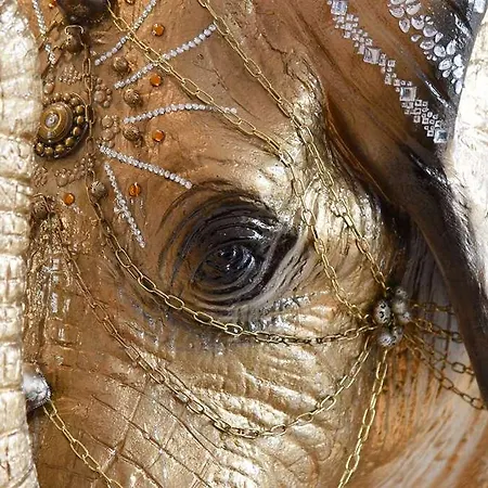 Amedia Plaza Dresden, Trademark Collection By Wyndham Dresden