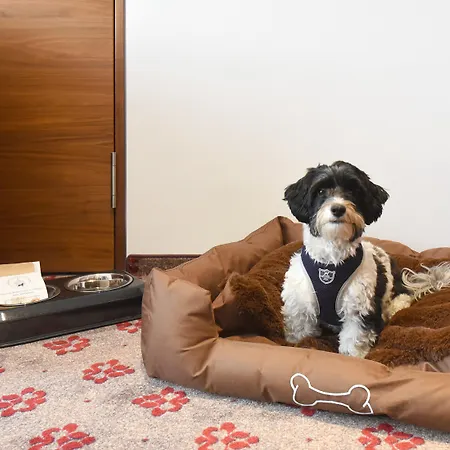 Szálloda Amedia Plaza Dresden, Trademark Collection By Wyndham 4*