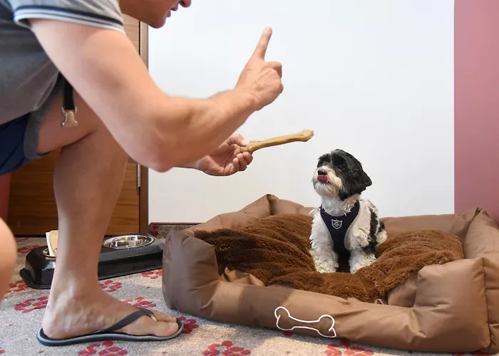 Amedia Plaza Dresden, Trademark Collection By Wyndham Drážďany