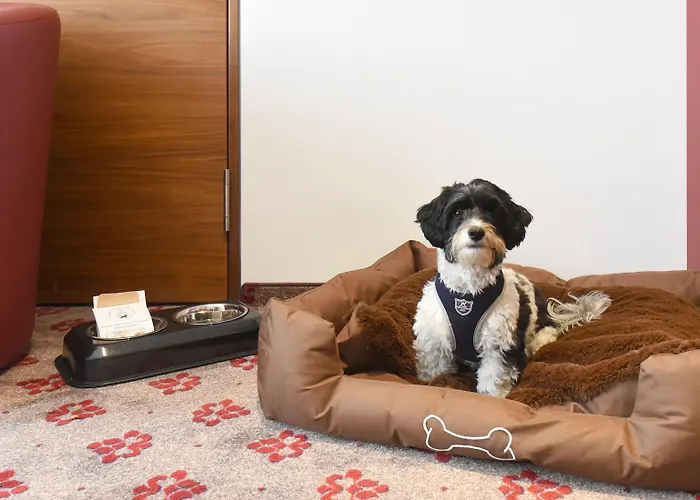 فندق Amedia Plaza Dresden, Trademark Collection By Wyndham 4*